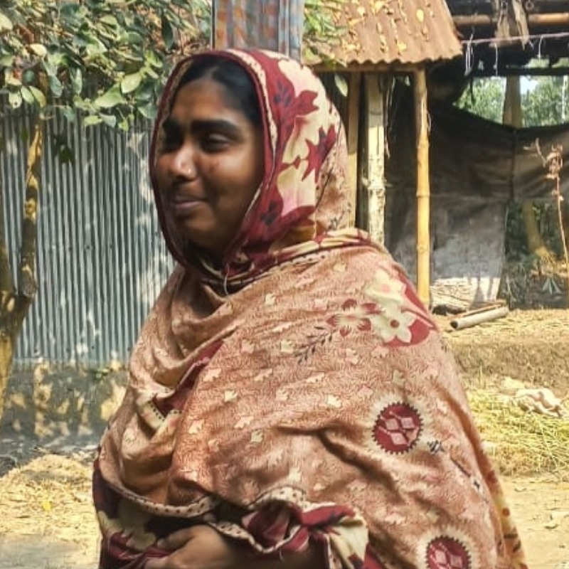 আলমগীর গরু মোটাতাজাকরণ খামার (সদরপুর, মিরপুর, কুষ্টিয়া)