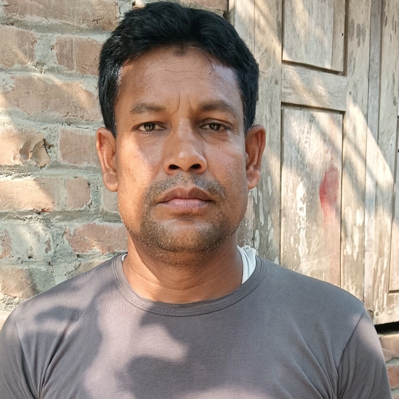 ইমারুল দুগ্ধ খামার (রাজনগর, মিরপুর, কুষ্টিয়া)