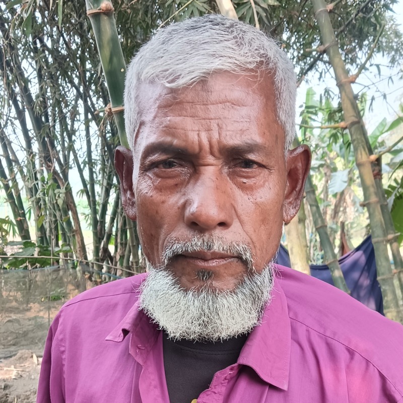 কাবের আলী গরু খামার (মালিহাদ, মিরপুর, কুষ্টিয়া)