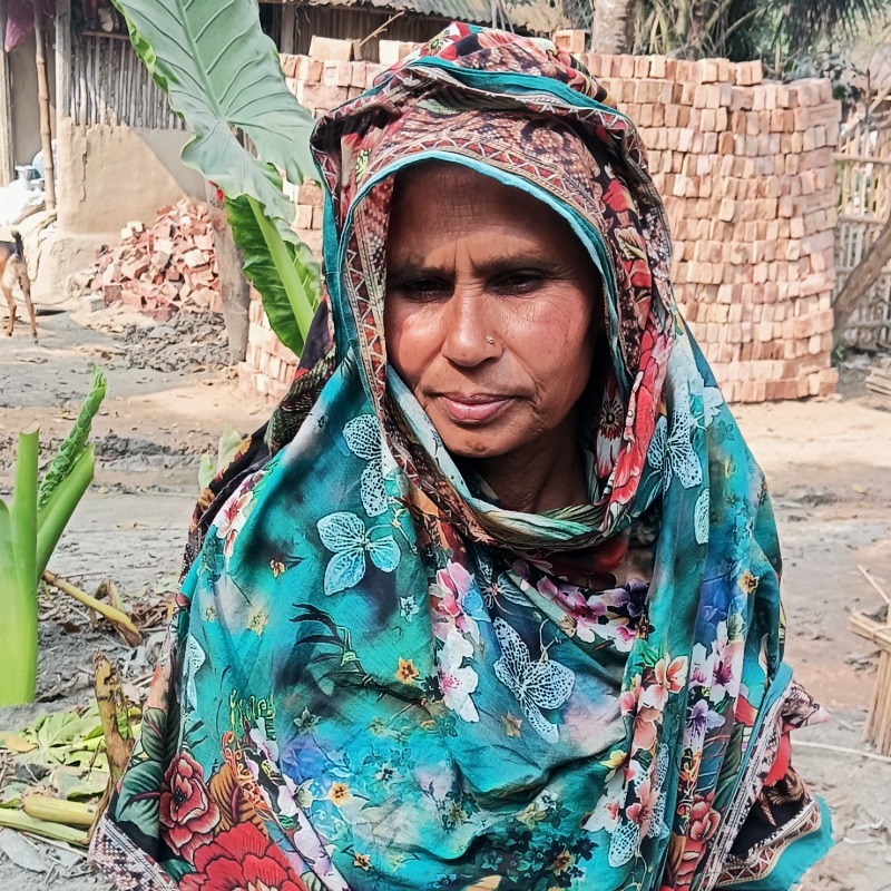 কালু ষাঁড় গরুর খামার (রাজনগর, মিরপুর, কুষ্টিয়া)