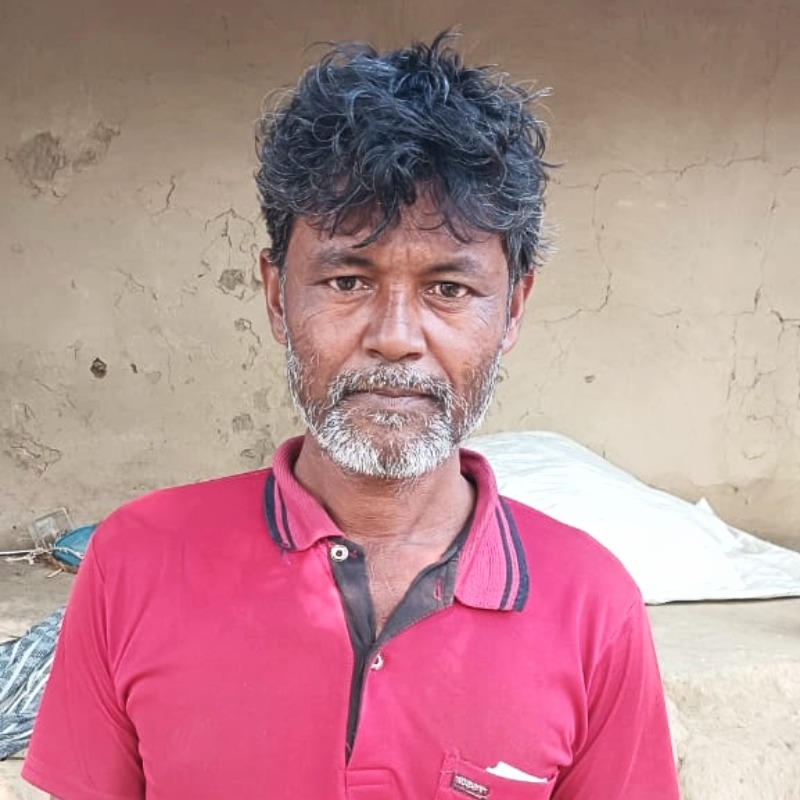 তোফাজ্জেল গরুর খামার (মিরপুর, কুষ্টিয়া)