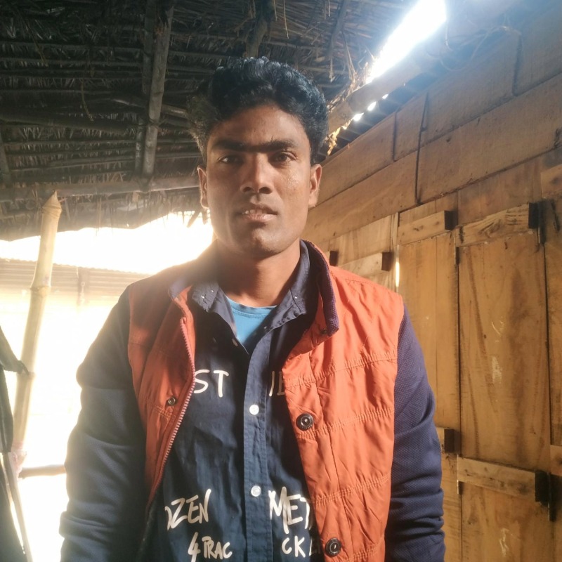 মিন্টু ষাঁড় গরুর খামার (ছাতারপাড়া,দৌলতপুর, কুষ্টিয়া)