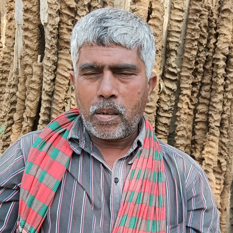 রবিউল গরু খামার (সদরপুর, মিরপুর, কুষ্টিয়া)