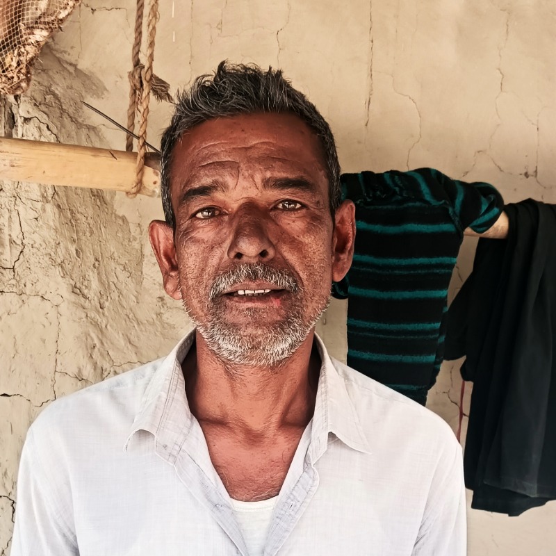 রহিদুল ষাঁড় গরুর খামার (রাজনগর, মিরপুর, কুষ্টিয়া)