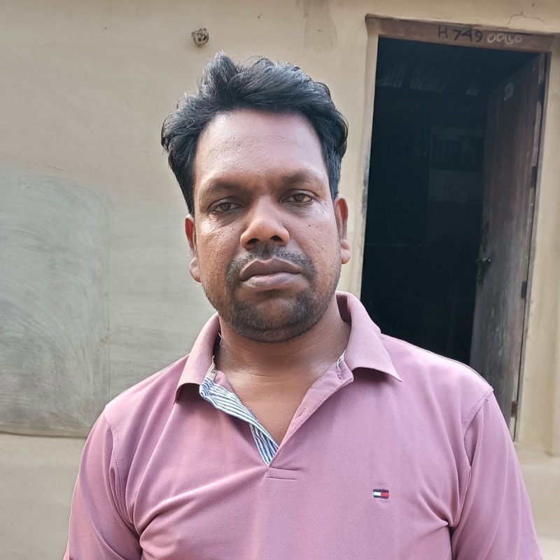 রানা ষাঁড় গরুর খামার (রাজনগর, মিরপুর, কুষ্টিয়া)