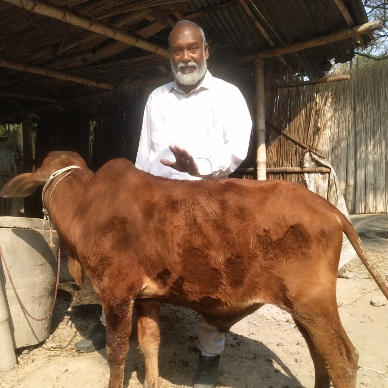 শরীফ এগ্রো ফারাম (হাটবোয়ালি, আলমডাঙ্গা, চুয়াডাঙ্গা)