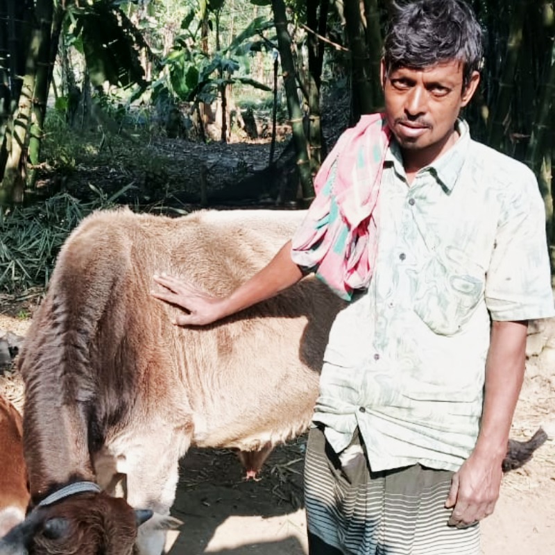 শহিদুল গরুর খামাার