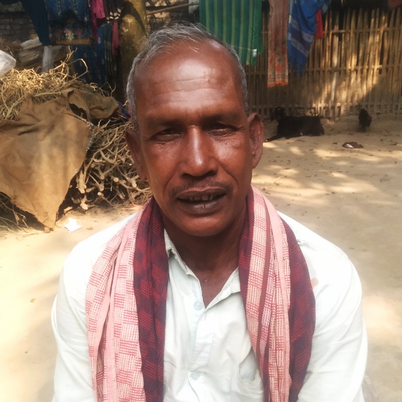 সেন্টু গরু খামার (রাজনগর, মিরপুর, কুষ্টিয়া)