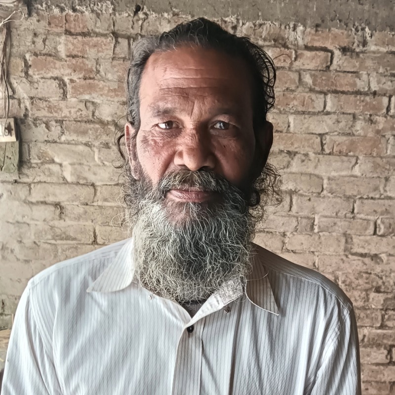 হান্নান গরু খামার (মালিহাদ, মিরপুর, কুষ্টিয়া)