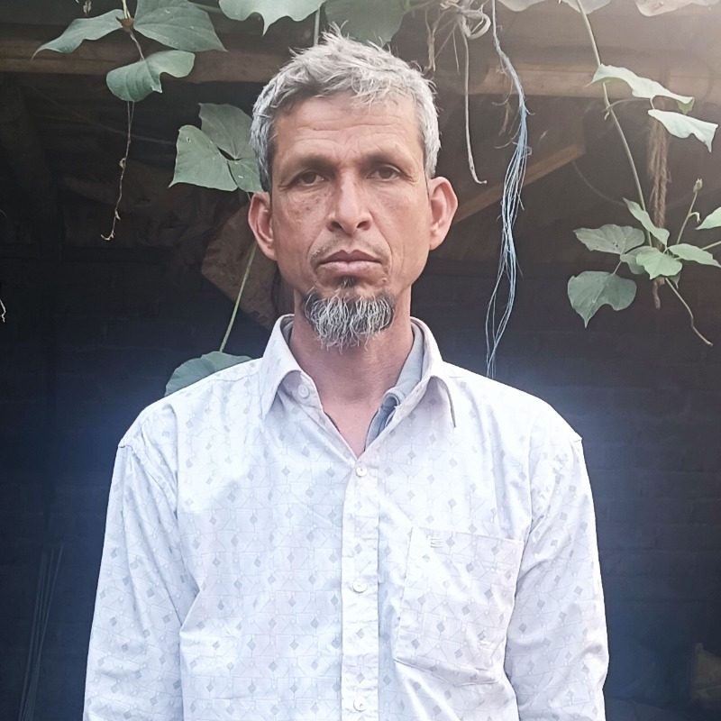 হারুনুর ষাঁড় গরুর খামার (রাজনগর, মিরপুর, কুষ্টিয়া)