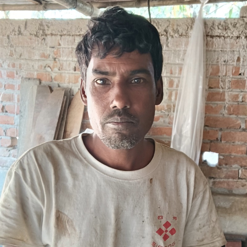 আয়জাল ষাঁড় গরু খামার (আমলা, মিরপুর, কুষ্টিয়া)