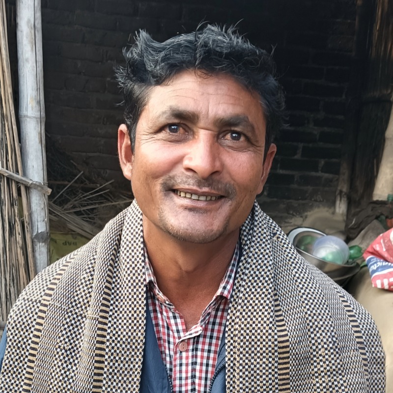 ইবরাহিম ষাঁড় গরুর খামার (সদরপুর, মিরপুর, কুষ্টিয়া)