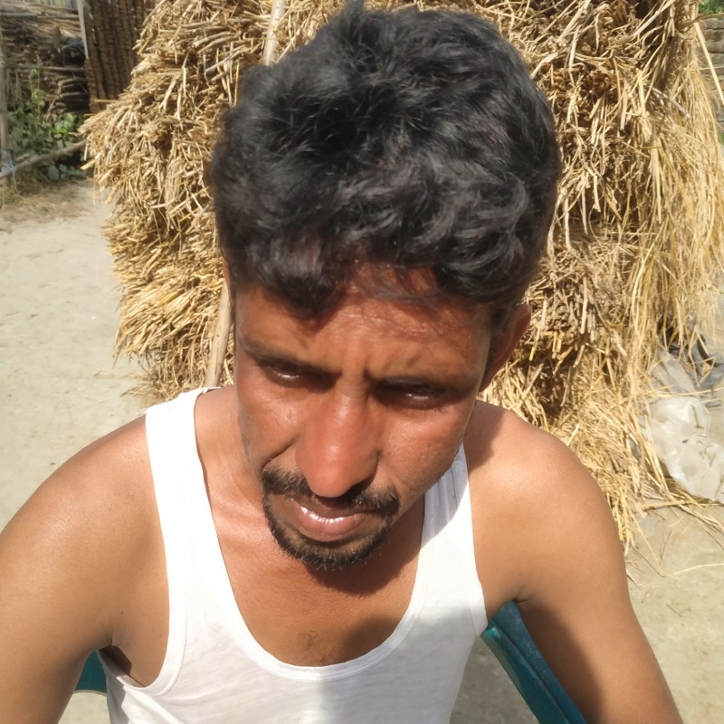 ইমারুল ক্যাটল ফার্ম (সদরপুর, মিরপুর, কুষ্টিয়া)