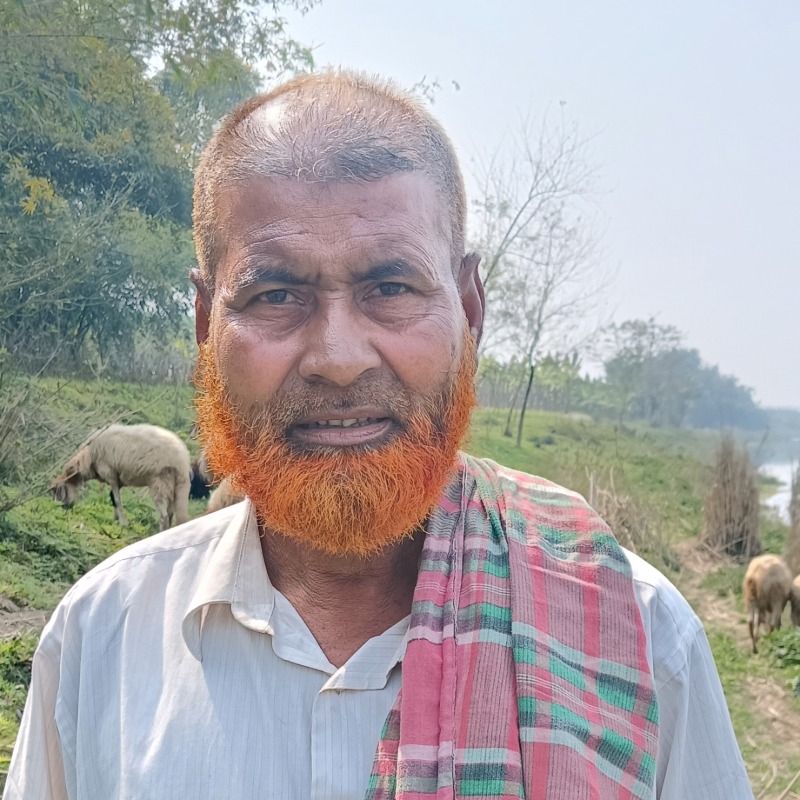 খাঁন ভেড়া পালন খামার (মালিহাদ, মিরপুর, কুষ্টিয়া)