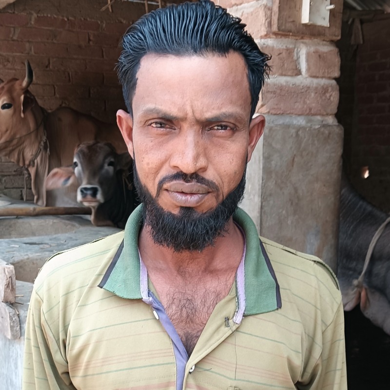 জাহাঙ্গীর আলম ডেইরি ফার্ম (মালিহাদ, মিরপুর, কুষ্টিয়া)