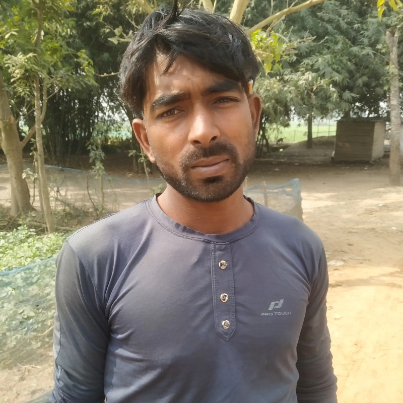 তুহিন এগ্রো ফার্ম (সদরপুর, মিরপুর, কুষ্টিয়া)