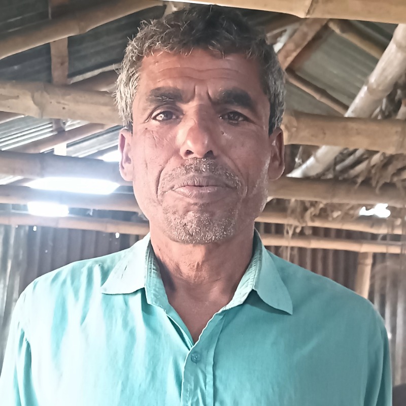 দেলসাদ মোটাতাজা গরুর খামার (সদরপুর, মিরপুর, কুষ্টিয়া)