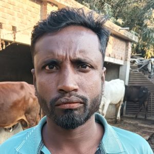 নাজমুল হোসেন গরু মোটাতাজাকরণ খামার (হারদি, আলমডাঙ্গা, চুয়াডাঙ্গা)