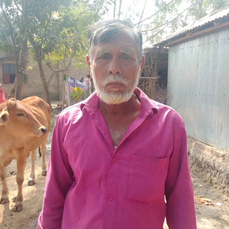 বুলেছ মোটাতাজা গরুর খামার (সদরপুর, মিরপুর, কুষ্টিয়া)