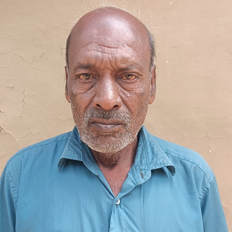 মজিবার গরু মোটাতাজাকরণ খামার (মালিহাদ, মিরপুর কুষ্টিয়া)