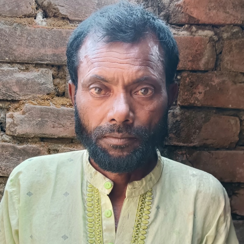 মহিদুল গরু মোটাতাজাকরণ খামার (মালিহাদ, মিরপুর, কুষ্টিয়া)