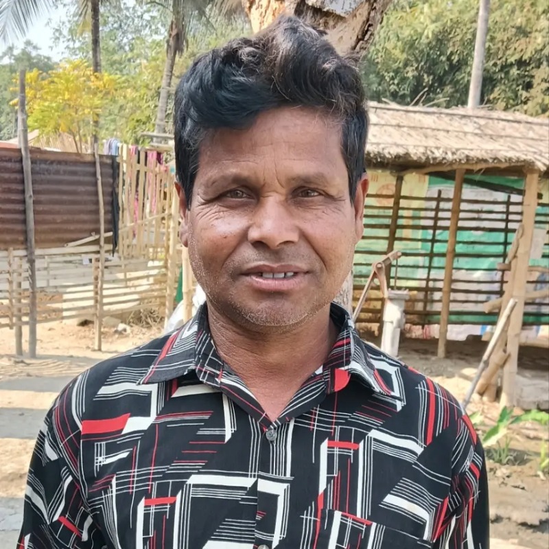 মোনিরুল ষাঁড় গরু খামার (চর বোয়ালিয়া, মিরপুর, কুষ্টিয়া)