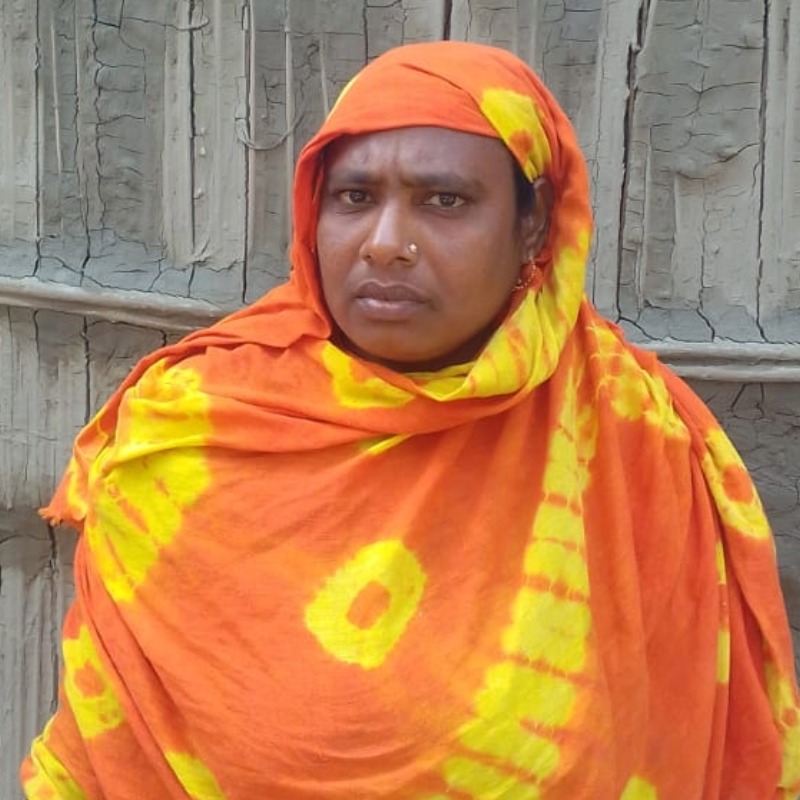 লালন মোটাতাজা গরুর খামার (সদরপুর, মিরপুর, কুষ্টিয়া)