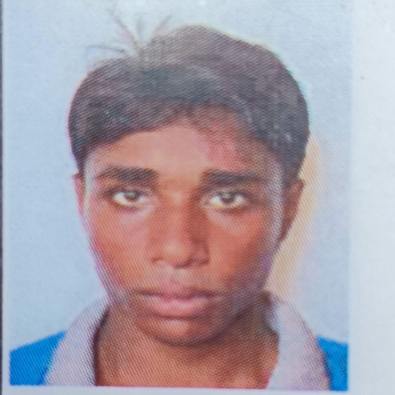 লিটন গরু মোটাতাজাকরণ খামার (সদরপুর, মিরপুর, কুষ্টিয়া)