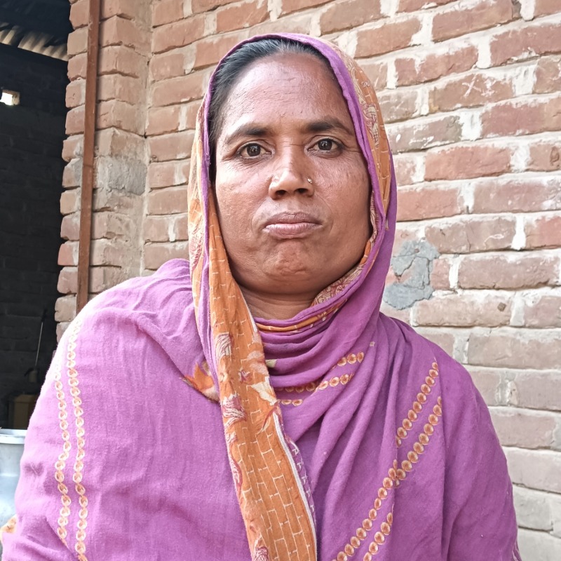 সইরদ্দীন মোটাতাজা গরুর খামার (সদরপুর, মিরপুর, কুষ্টিয়া)