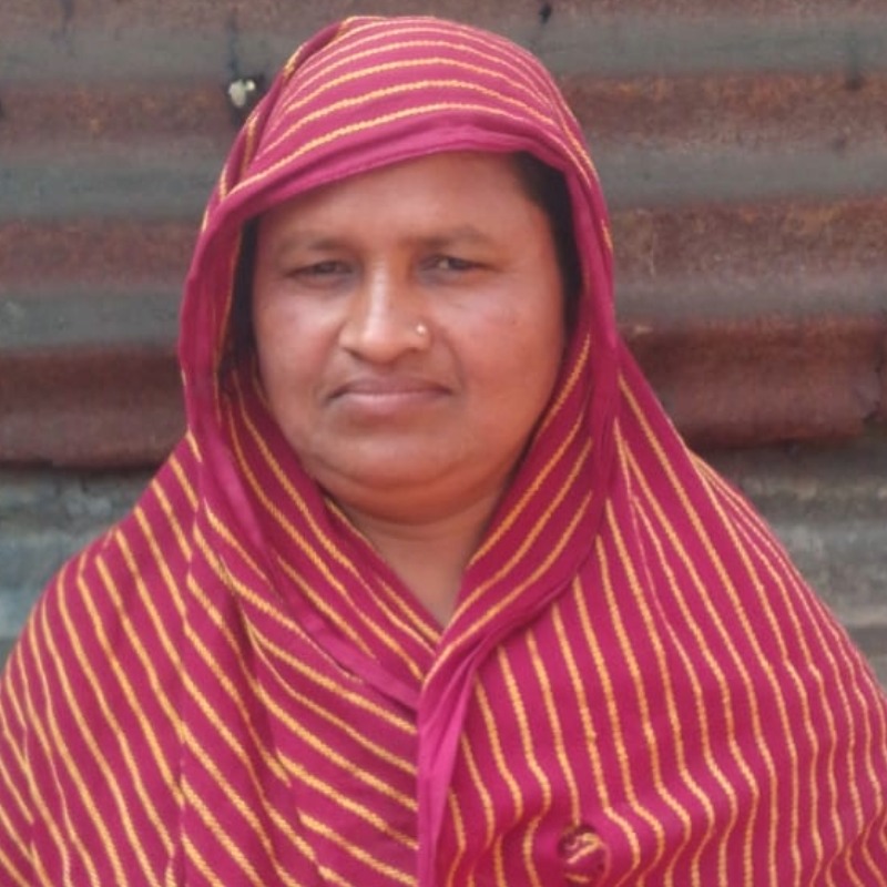 সবুজ মোটাতাজা গরুর খামার (সদরপুর, মিরপুর, কুষ্টিয়া)