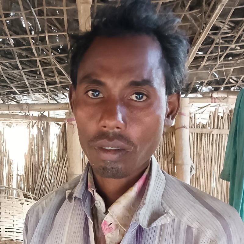 সাইফুল মোটাতাজা গরুর খামার (সদরপুর, মিরপুর, কুষ্টিয়া)