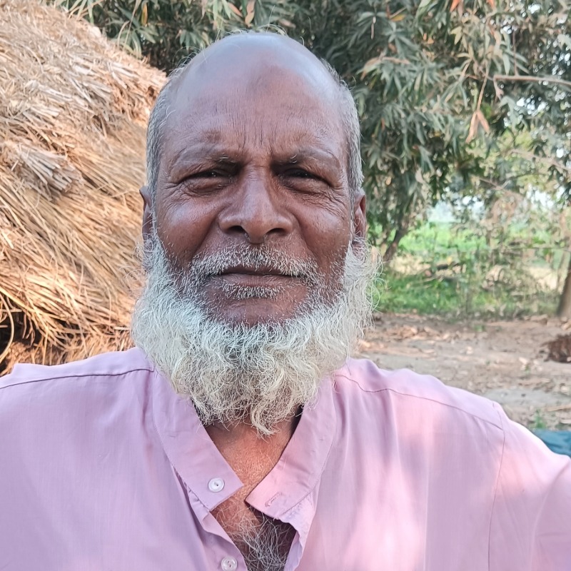 সোহরাব গরু মোটাতাজাকরণ খামার (মালিহাদ, মিরপুর, কুষ্টিয়া)