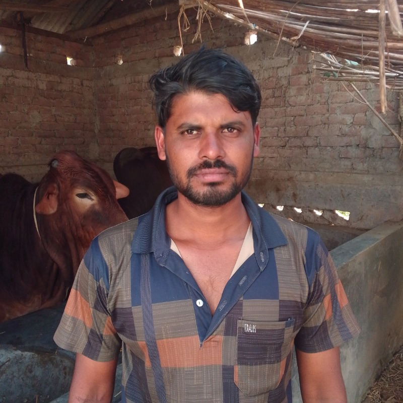 সোহাগ এগ্রো ফার্ম (সদরপুর, মিরপুর, কুষ্টিয়া)