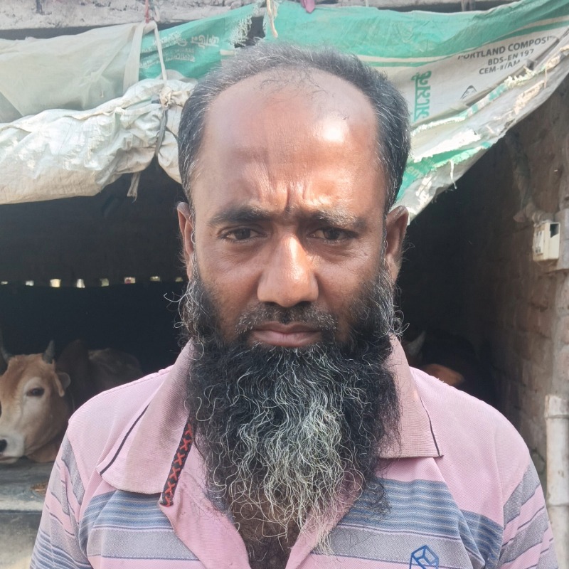 সোহাগ ষাঁড় গরুর খামার (হারদি, আলমডাঙ্গা, চুয়াডাঙ্গা)