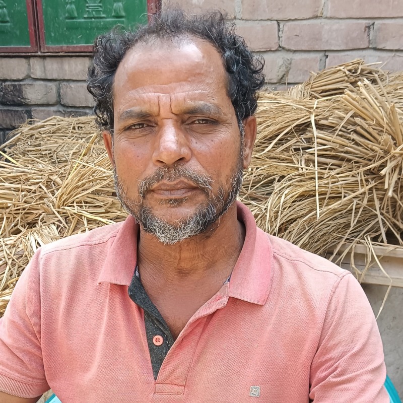 হক সাহেব গরুর খামার (মালিহাদ