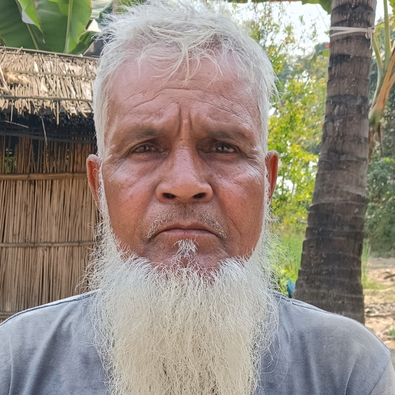 হাফিজ উদ্দিন গরু মোটাতাজাকরণ খামার (মালিহাদ, মিরপুর, কুষ্টিয়া)